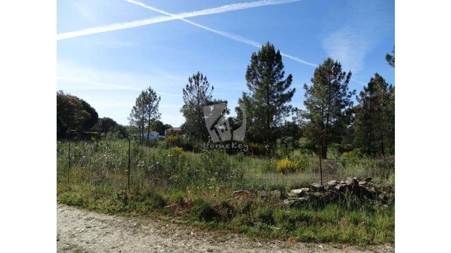 Terreno Agricola ou Rústico para Venda em Benquerenças Foto 29