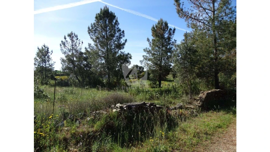 Terreno Agricola ou Rústico para Venda em Benquerenças Foto 26