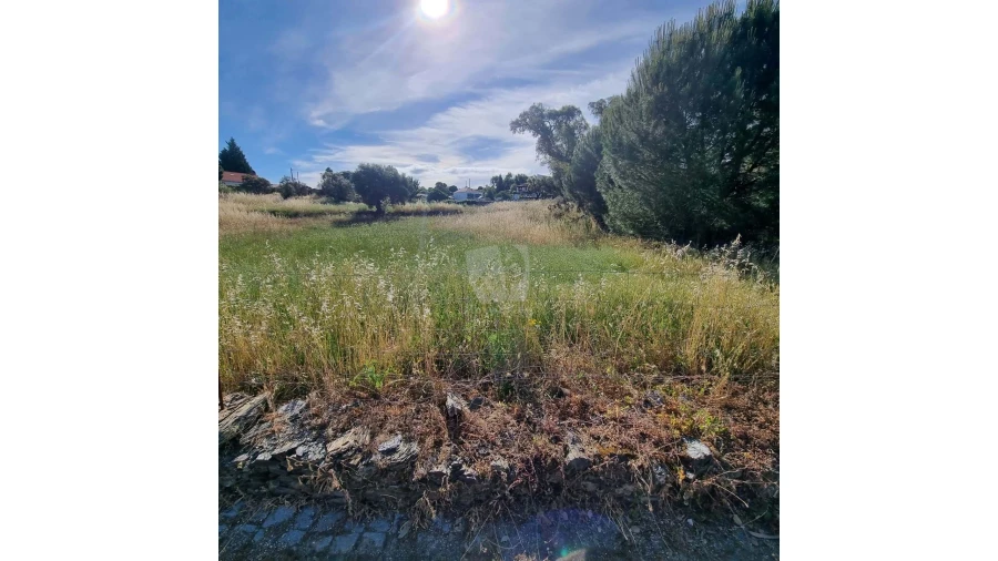 Terreno Agricola ou Rústico para Venda em Benquerenças Foto 21