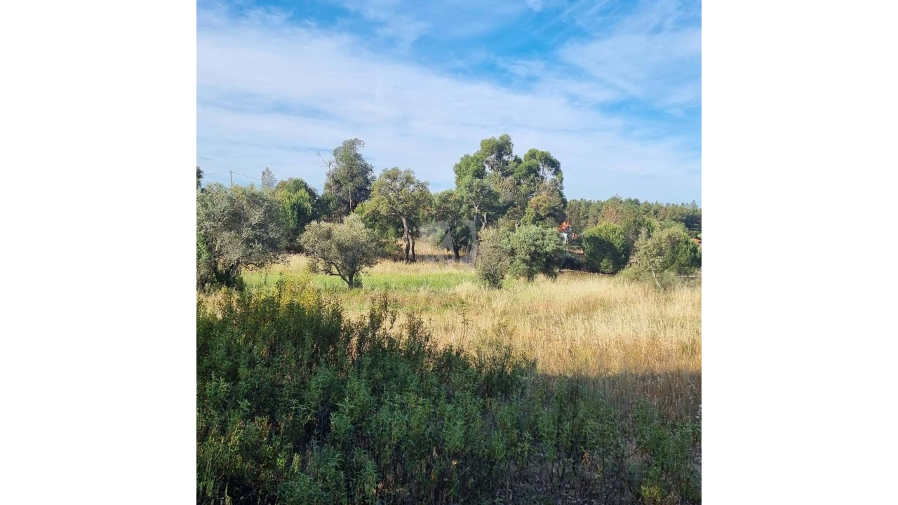 Terreno Agricola ou Rústico para Venda em Benquerenças Foto 15