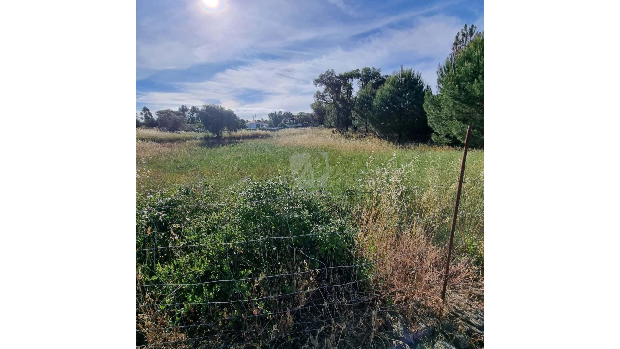 Terreno Agricola ou Rústico para Venda em Benquerenças Foto 22