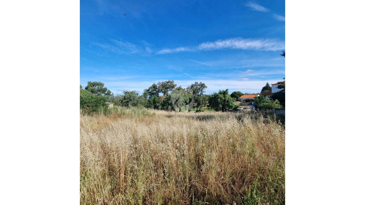 Terreno Agricola ou Rústico para Venda em Benquerenças Foto 8