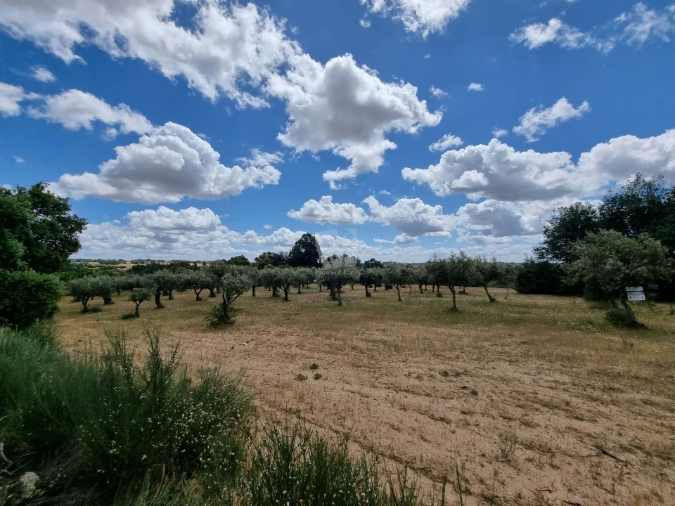 Terreno Agricola ou Rústico para Venda em Póvoa de Rio de Moinhos e Cafede Foto 4