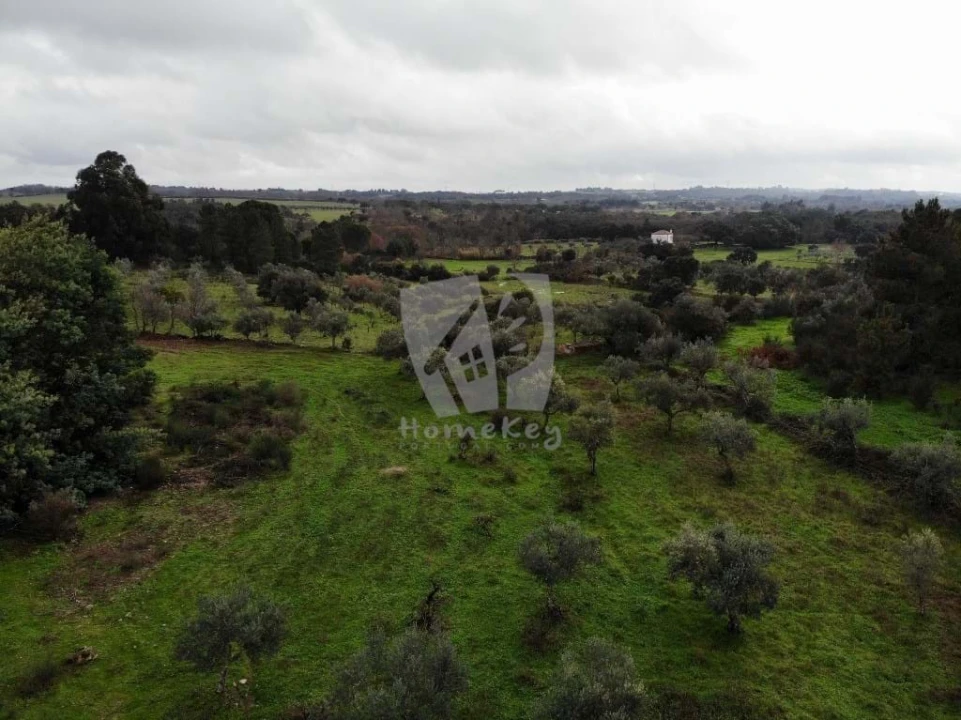 Terreno Agricola ou Rústico para Venda em Póvoa de Rio de Moinhos e Cafede Foto 13