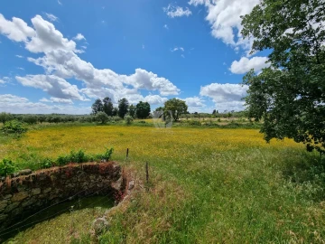 Terreno Agricola ou Rústico para Venda em Póvoa de Rio de Moinhos e Cafede