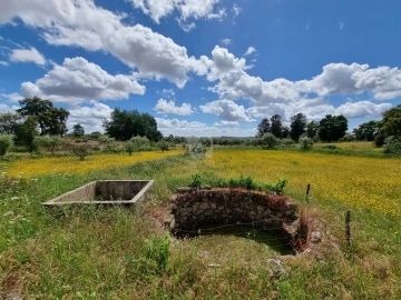 Terreno Agricola ou Rústico para Venda em Póvoa de Rio de Moinhos e Cafede