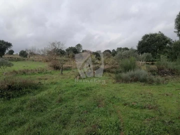 Terreno Agricola ou Rústico para Venda em Póvoa de Rio de Moinhos e Cafede