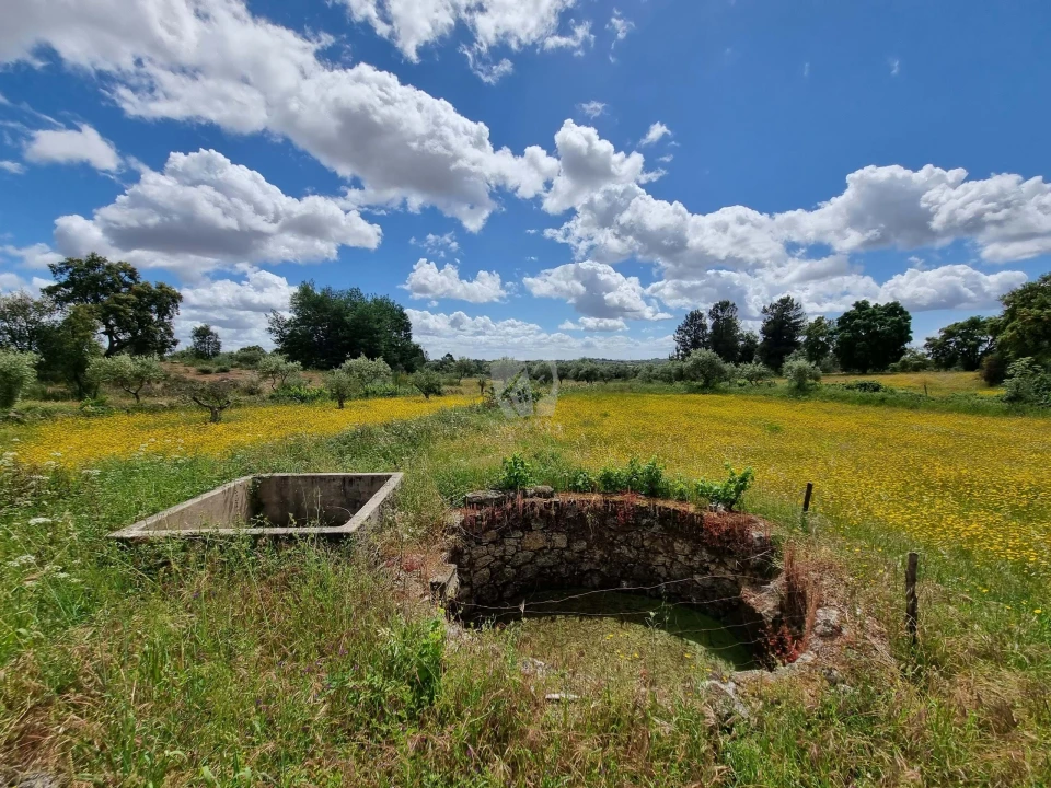 Terreno Agricola ou Rústico para Venda em Póvoa de Rio de Moinhos e Cafede Foto 8