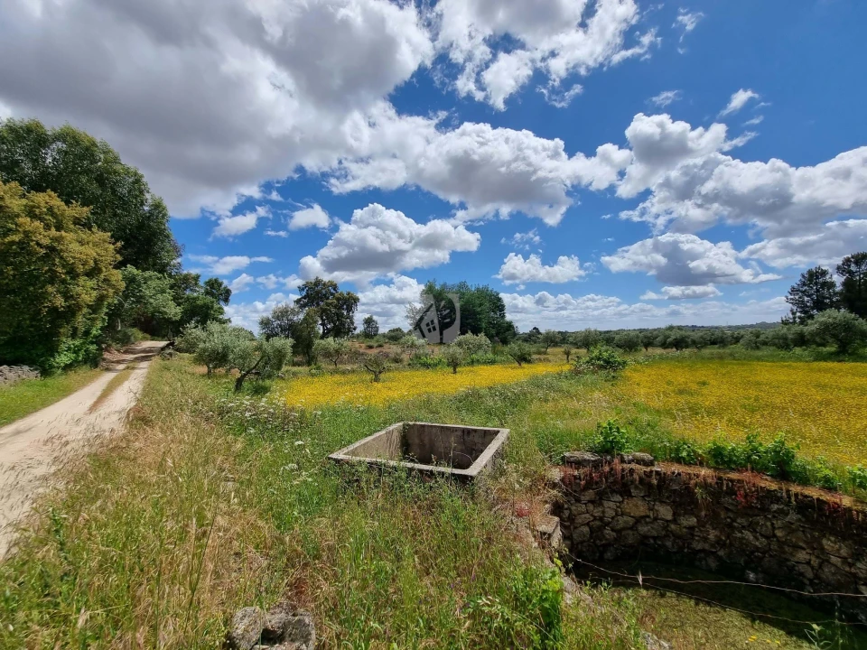 Terreno Agricola ou Rústico para Venda em Póvoa de Rio de Moinhos e Cafede Foto 1