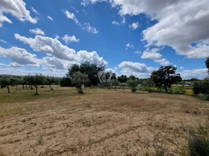Terreno Agricola ou Rústico para Venda em Póvoa de Rio de Moinhos e Cafede Foto 5