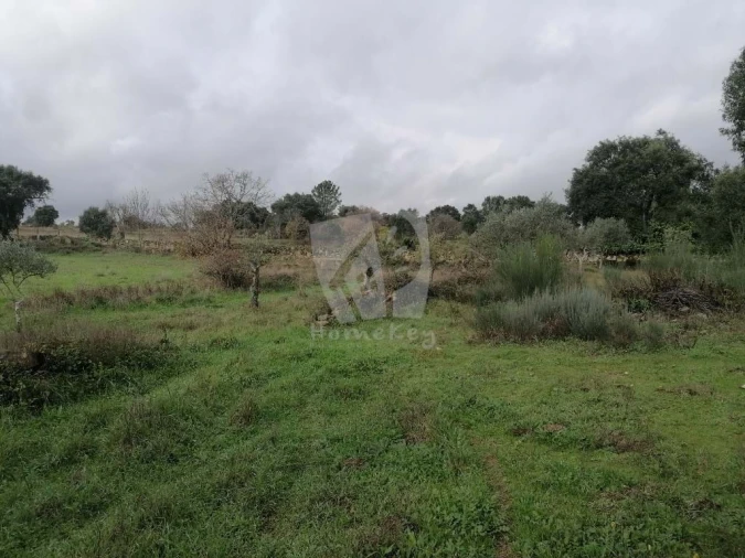 Terreno Agricola ou Rústico para Venda em Póvoa de Rio de Moinhos e Cafede Foto 12