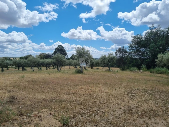 Terreno Agricola ou Rústico para Venda em Póvoa de Rio de Moinhos e Cafede Foto 2