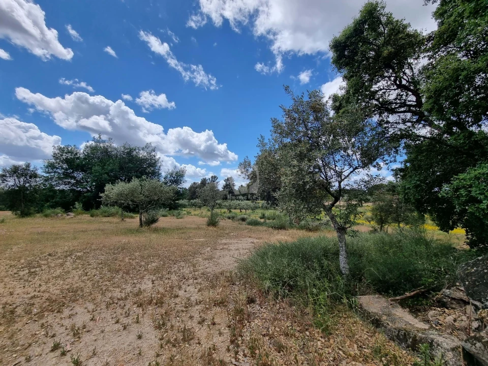 Terreno Agricola ou Rústico para Venda em Póvoa de Rio de Moinhos e Cafede Foto 3