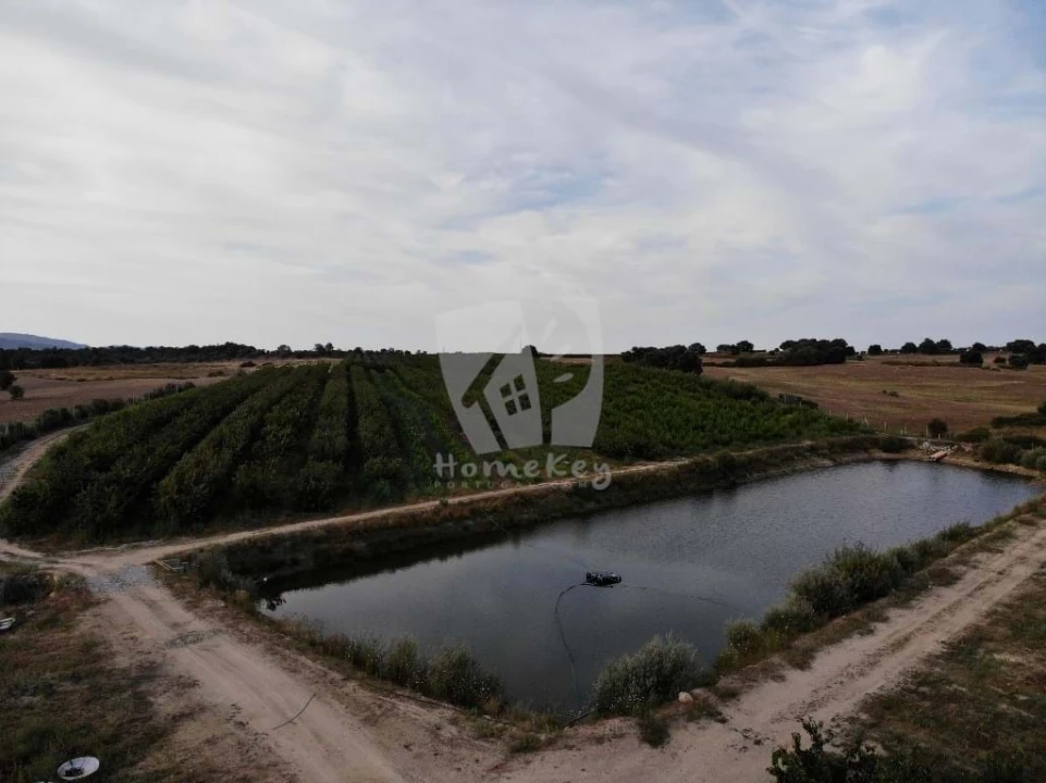 Negócio para Venda em Póvoa de Rio de Moinhos e Cafede Foto 3