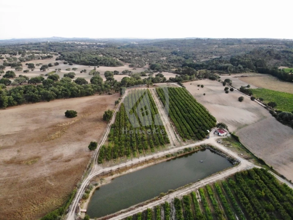Negócio para Venda em Póvoa de Rio de Moinhos e Cafede Foto 2