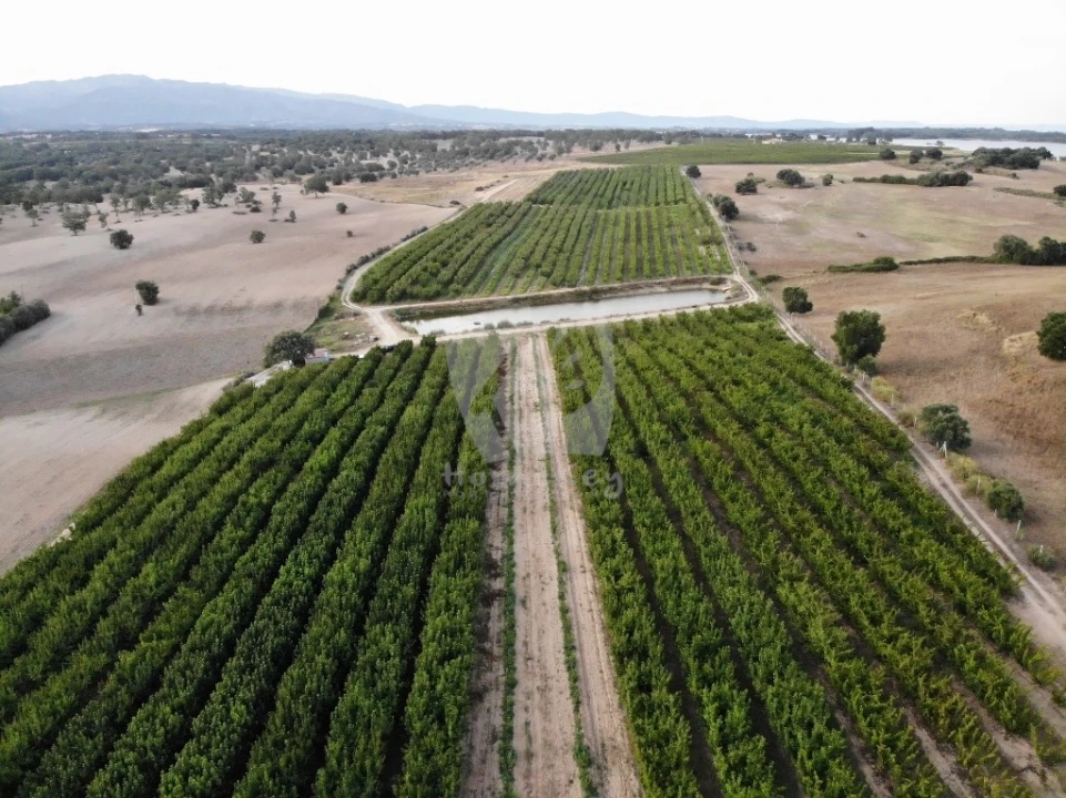 Negócio para Venda em Póvoa de Rio de Moinhos e Cafede Foto 6