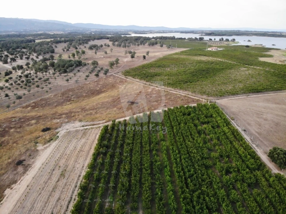Negócio para Venda em Póvoa de Rio de Moinhos e Cafede Foto 12