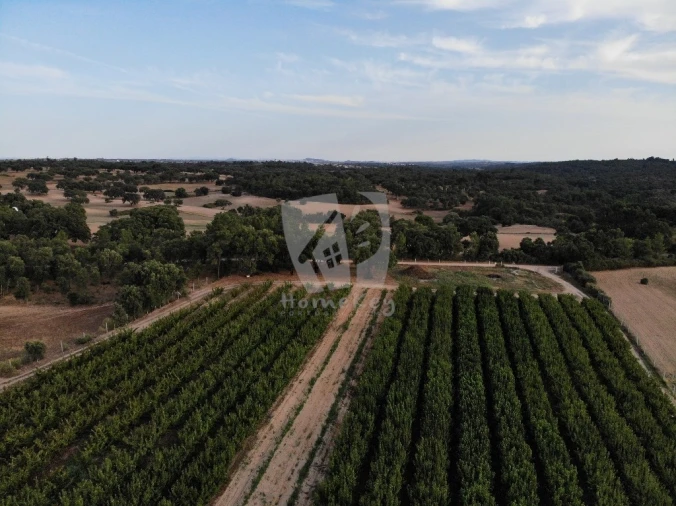Negócio para Venda em Póvoa de Rio de Moinhos e Cafede Foto 5