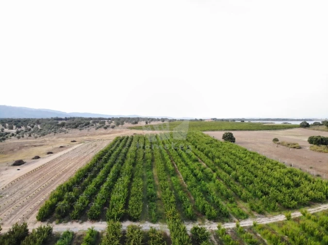 Negócio para Venda em Póvoa de Rio de Moinhos e Cafede Foto 10