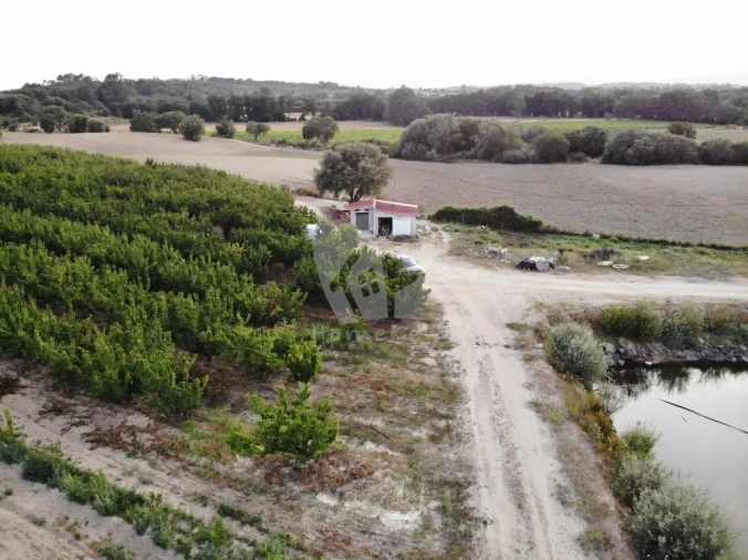 Negócio para Venda em Póvoa de Rio de Moinhos e Cafede Foto 8
