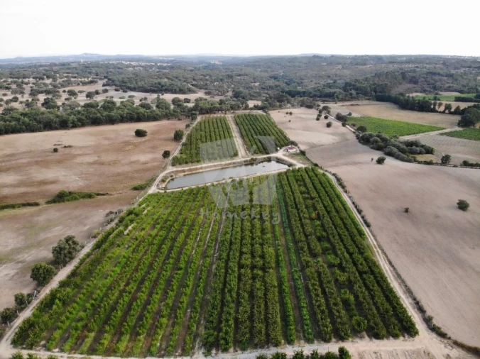 Negócio para Venda em Póvoa de Rio de Moinhos e Cafede Foto 13