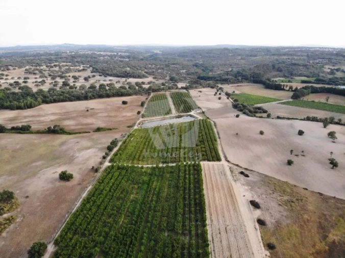 Negócio para Venda em Póvoa de Rio de Moinhos e Cafede Foto 14