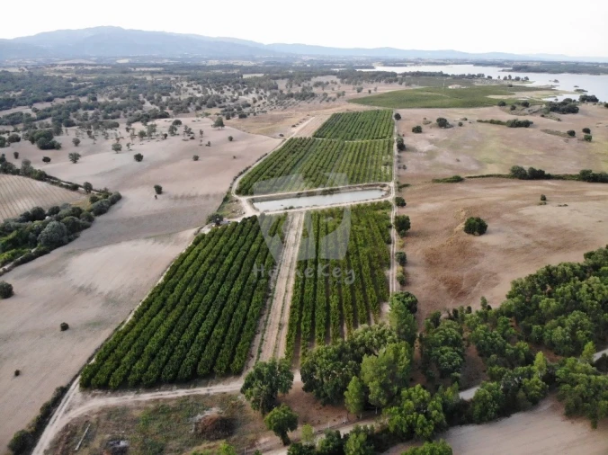 Negócio para Venda em Póvoa de Rio de Moinhos e Cafede Foto 7