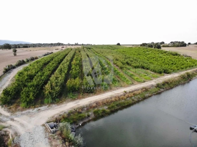 Negócio para Venda em Póvoa de Rio de Moinhos e Cafede Foto 9