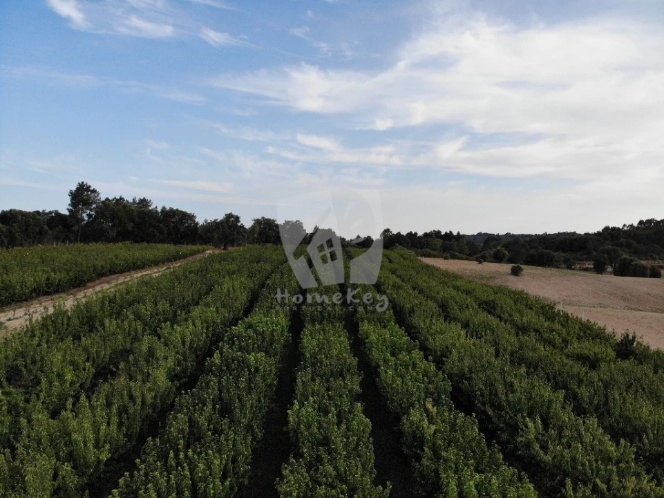 Negócio para Venda em Póvoa de Rio de Moinhos e Cafede Foto 4