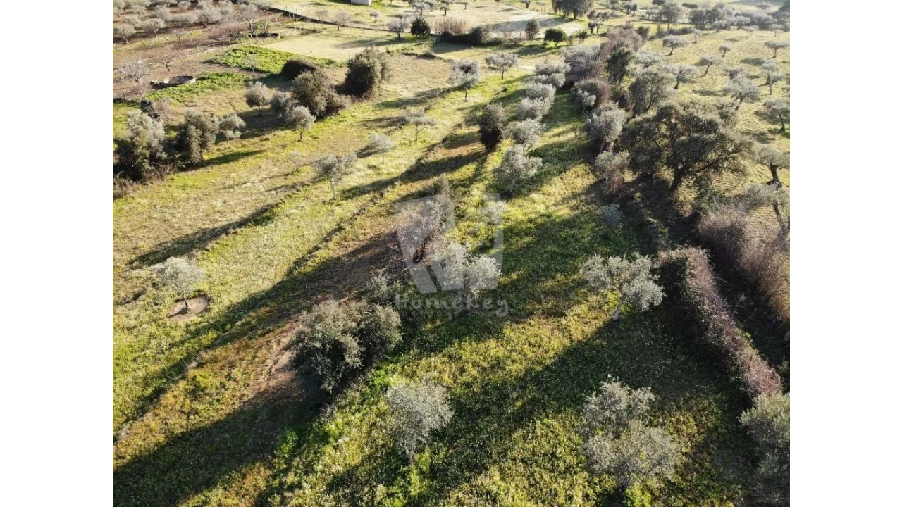 Terreno Agricola ou Rústico para Venda em Pedrógão de São Pedro e Bemposta Foto 15