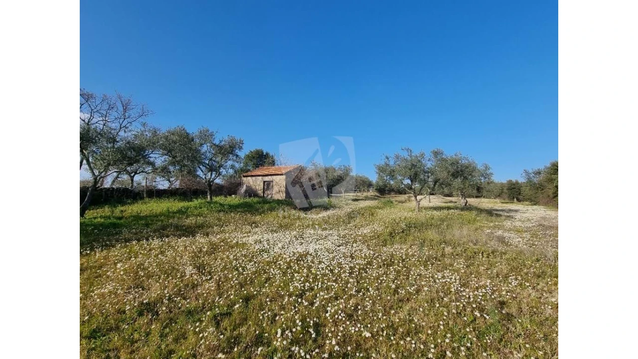 Terreno Agricola ou Rústico para Venda em Pedrógão de São Pedro e Bemposta Foto 2