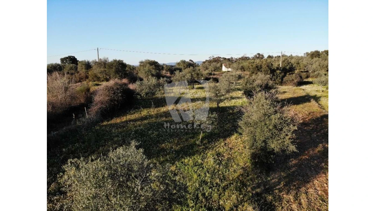 Terreno Agricola ou Rústico para Venda em Pedrógão de São Pedro e Bemposta Foto 29
