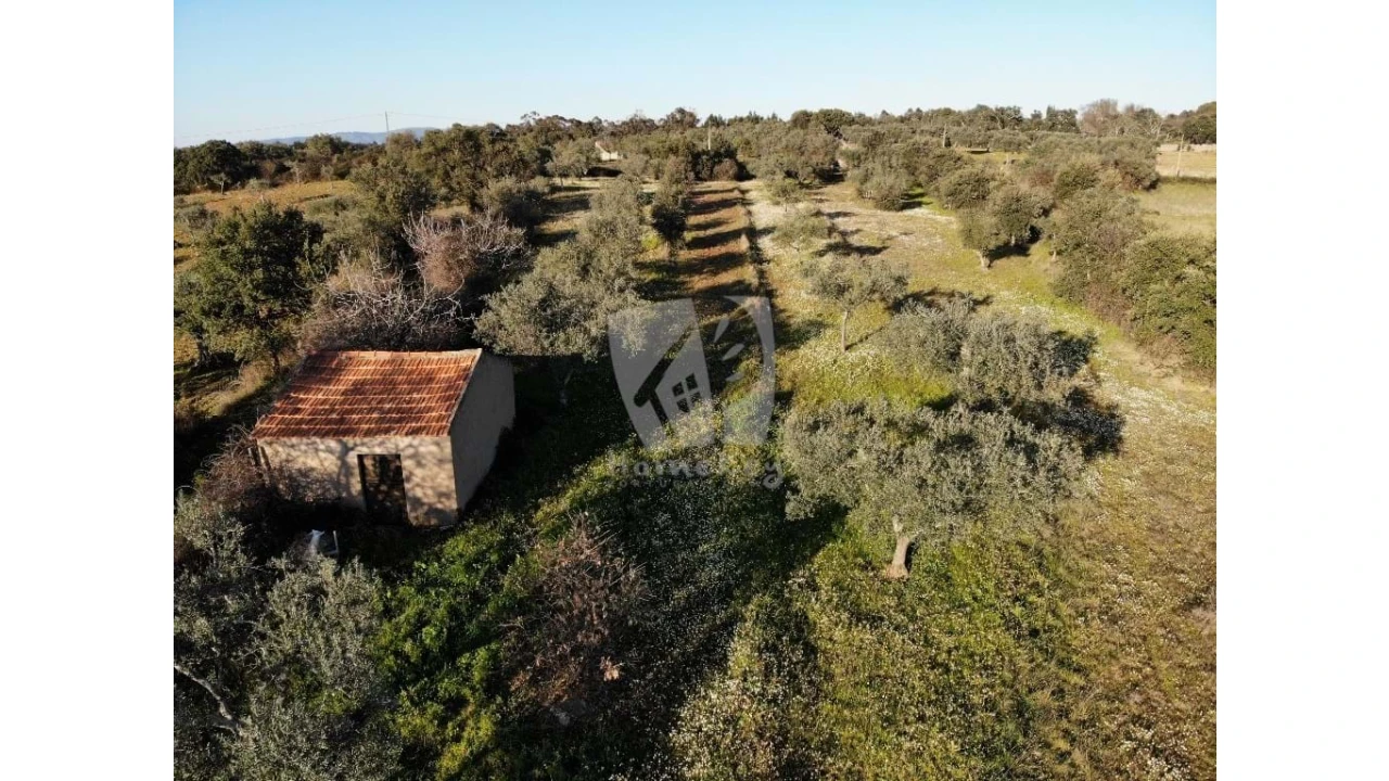 Terreno Agricola ou Rústico para Venda em Pedrógão de São Pedro e Bemposta Foto 30