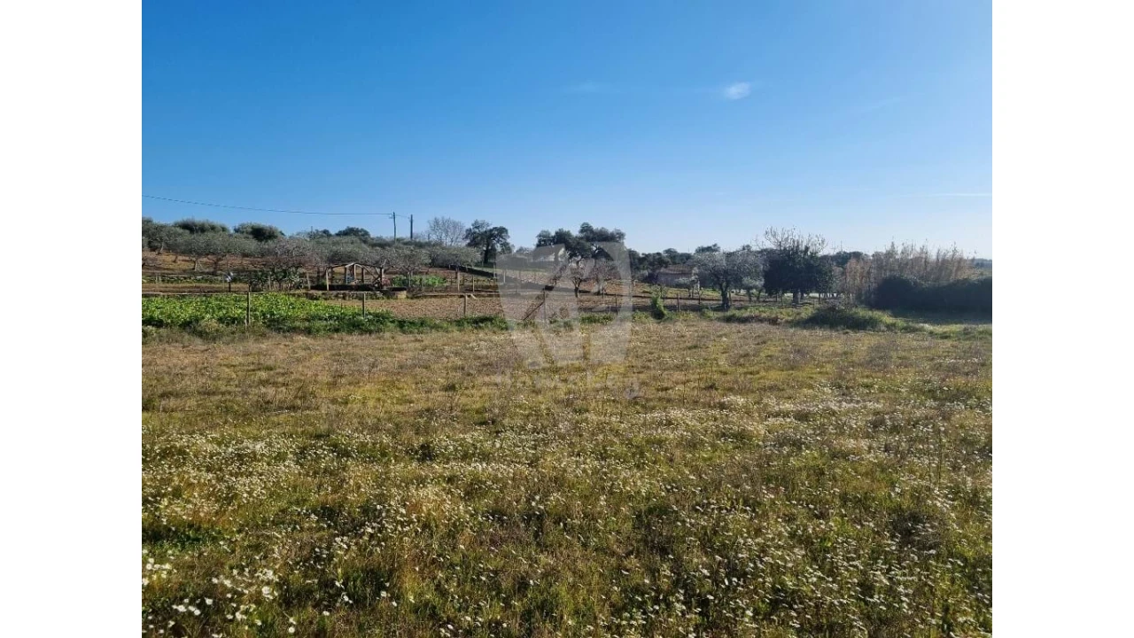 Terreno Agricola ou Rústico para Venda em Pedrógão de São Pedro e Bemposta Foto 7