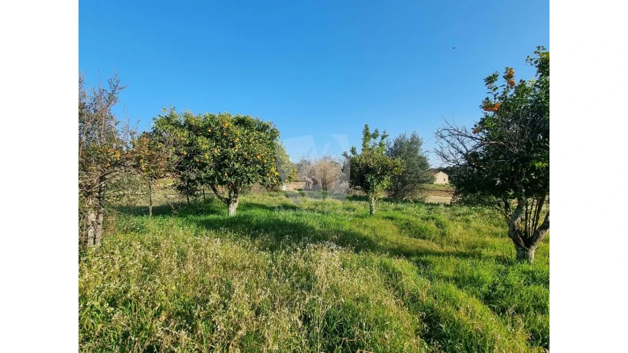 Terreno Agricola ou Rústico para Venda em Pedrógão de São Pedro e Bemposta Foto 26