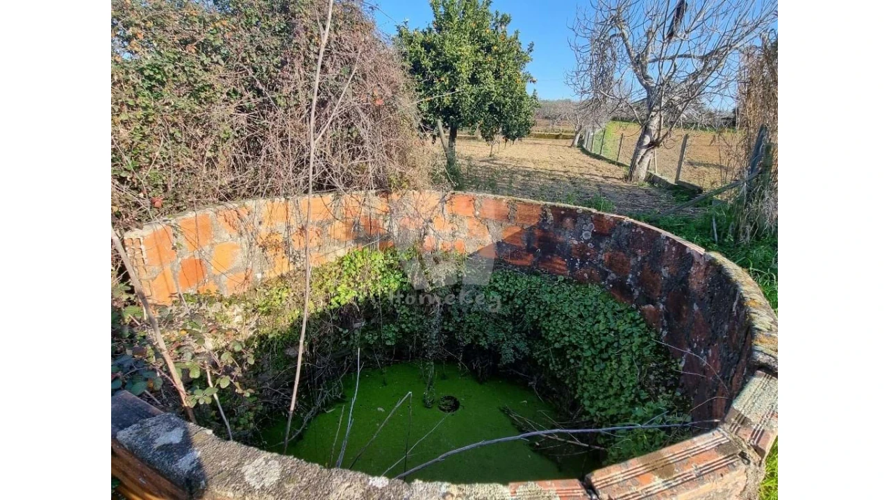 Terreno Agricola ou Rústico para Venda em Pedrógão de São Pedro e Bemposta Foto 18