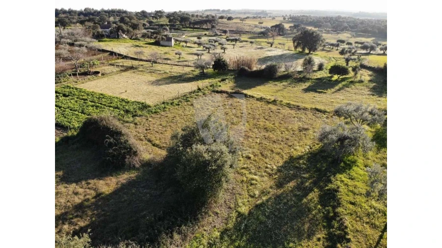 Terreno Agricola ou Rústico para Venda em Pedrógão de São Pedro e Bemposta Foto 22