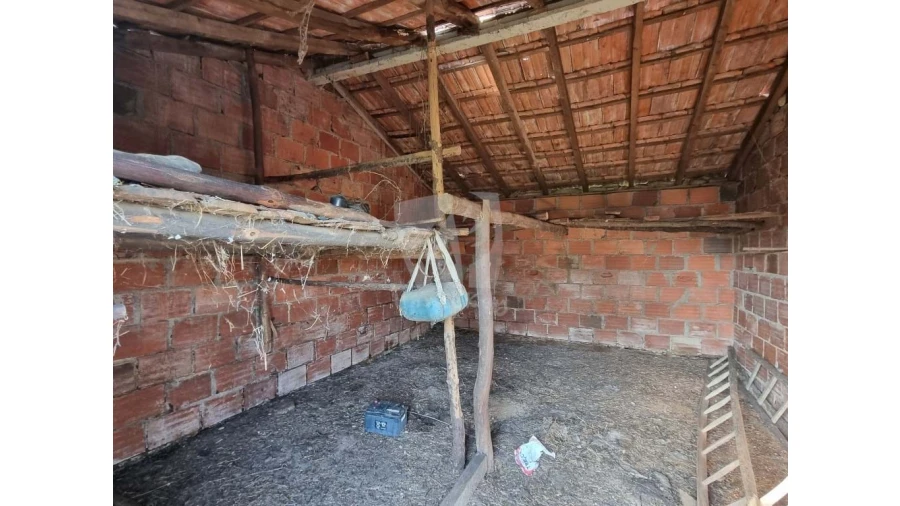 Terreno Agricola ou Rústico para Venda em Pedrógão de São Pedro e Bemposta Foto 12