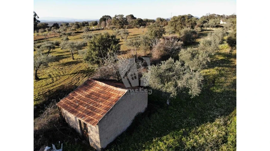 Terreno Agricola ou Rústico para Venda em Pedrógão de São Pedro e Bemposta Foto 23