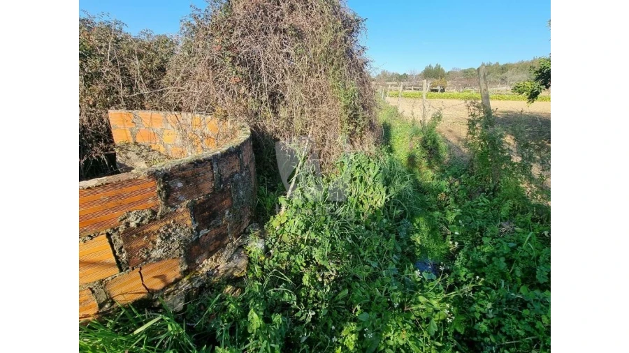 Terreno Agricola ou Rústico para Venda em Pedrógão de São Pedro e Bemposta Foto 17