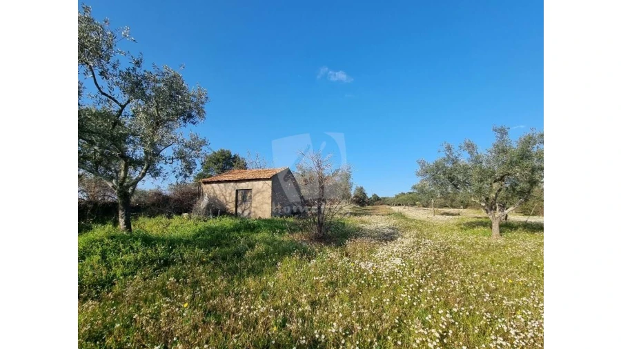 Terreno Agricola ou Rústico para Venda em Pedrógão de São Pedro e Bemposta