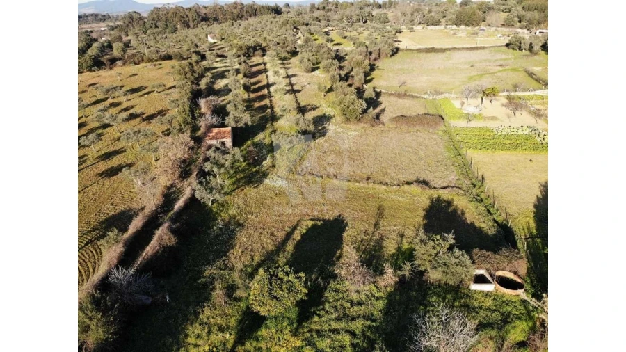 Terreno Agricola ou Rústico para Venda em Pedrógão de São Pedro e Bemposta Foto 19
