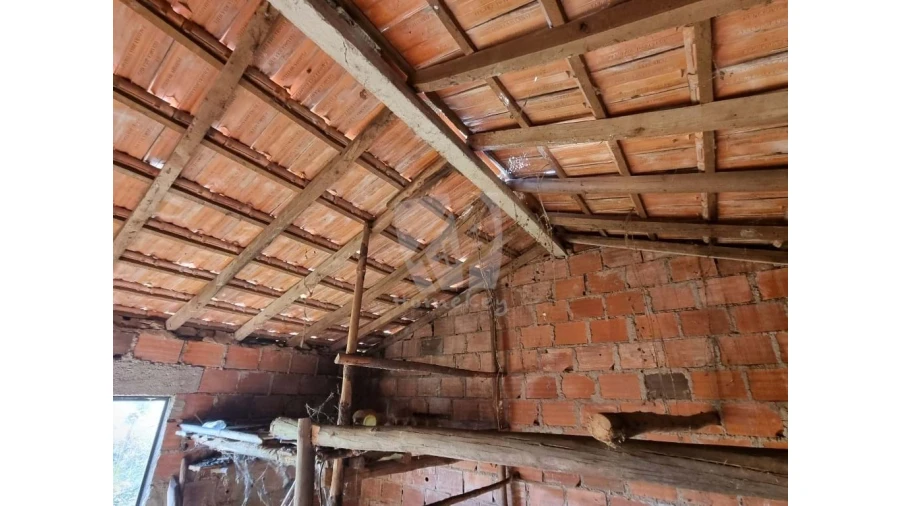 Terreno Agricola ou Rústico para Venda em Pedrógão de São Pedro e Bemposta Foto 11