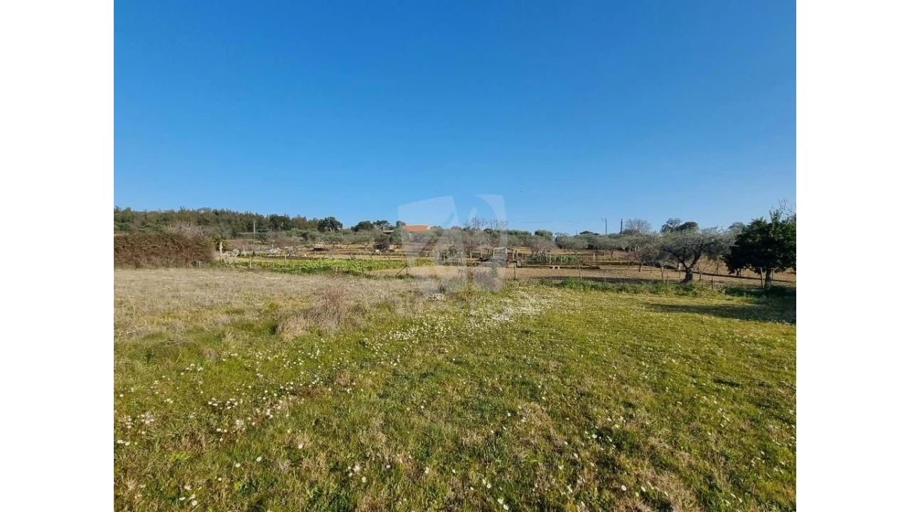 Terreno Agricola ou Rústico para Venda em Pedrógão de São Pedro e Bemposta Foto 9