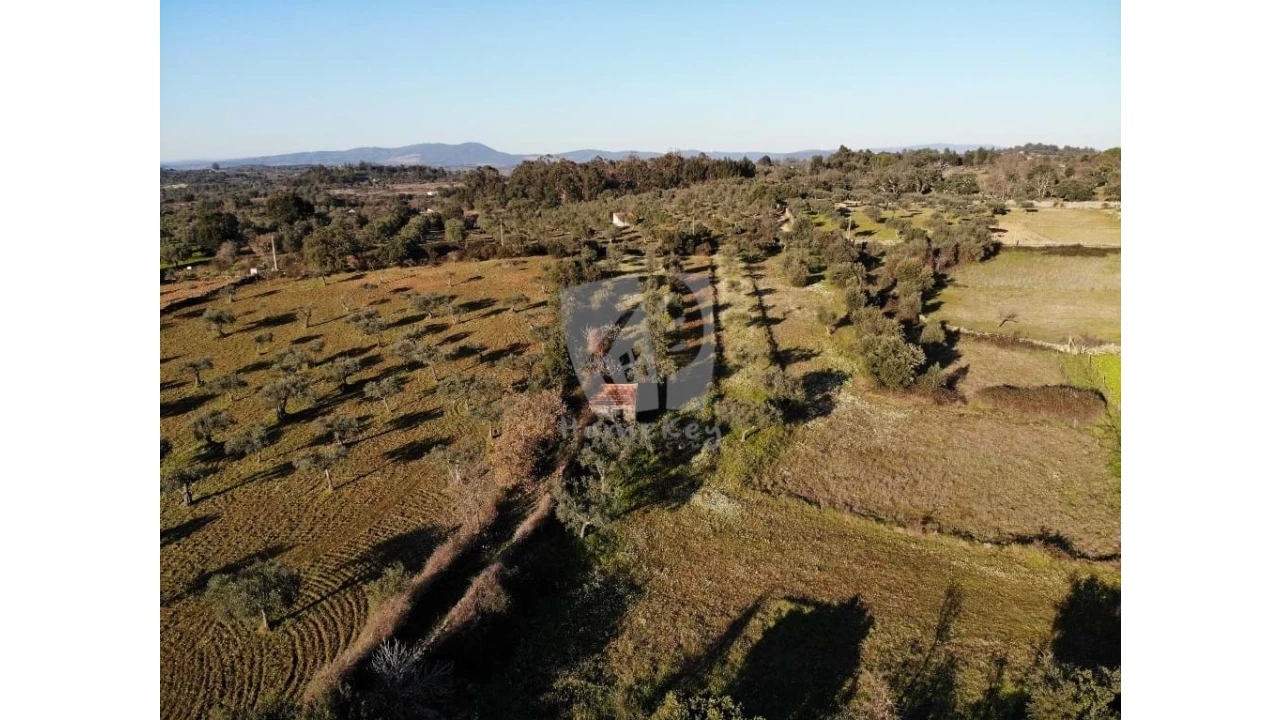 Terreno Agricola ou Rústico para Venda em Pedrógão de São Pedro e Bemposta Foto 5
