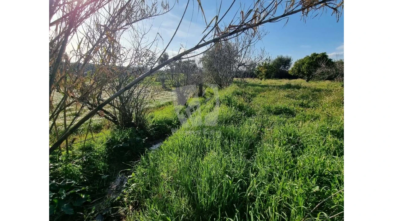 Terreno Agricola ou Rústico para Venda em Pedrógão de São Pedro e Bemposta Foto 16