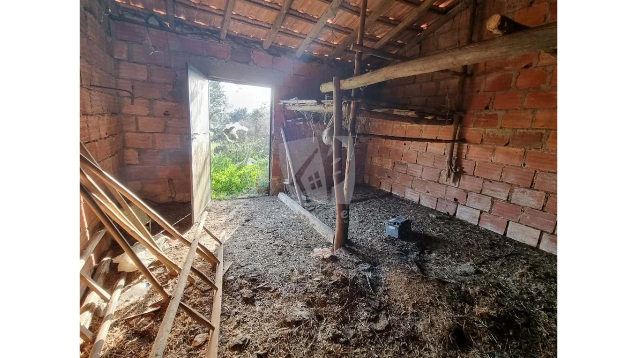 Terreno Agricola ou Rústico para Venda em Pedrógão de São Pedro e Bemposta Foto 13