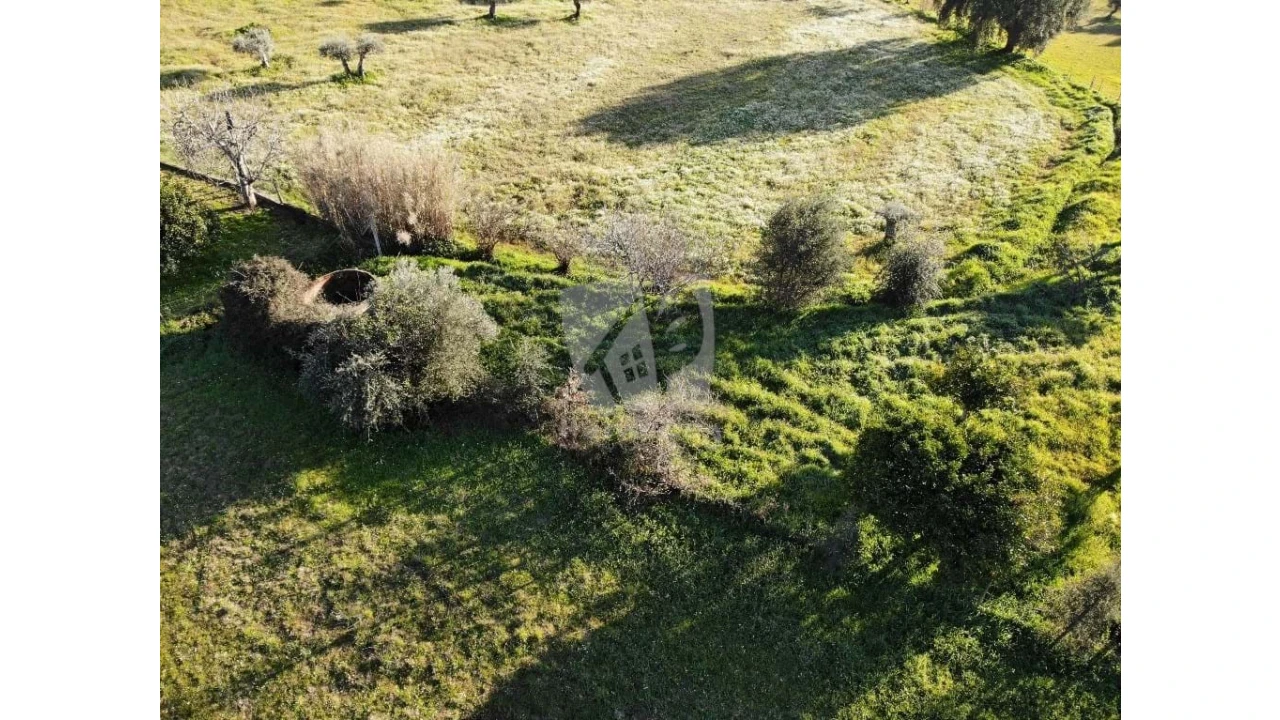 Terreno Agricola ou Rústico para Venda em Pedrógão de São Pedro e Bemposta Foto 14