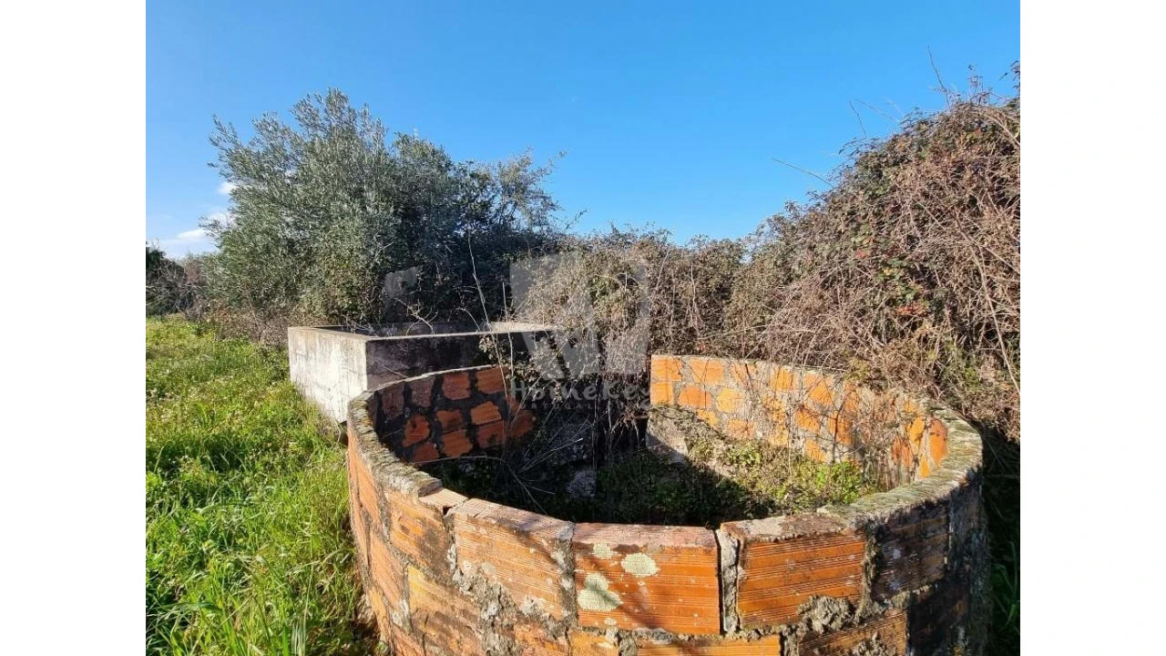Terreno Agricola ou Rústico para Venda em Pedrógão de São Pedro e Bemposta Foto 25