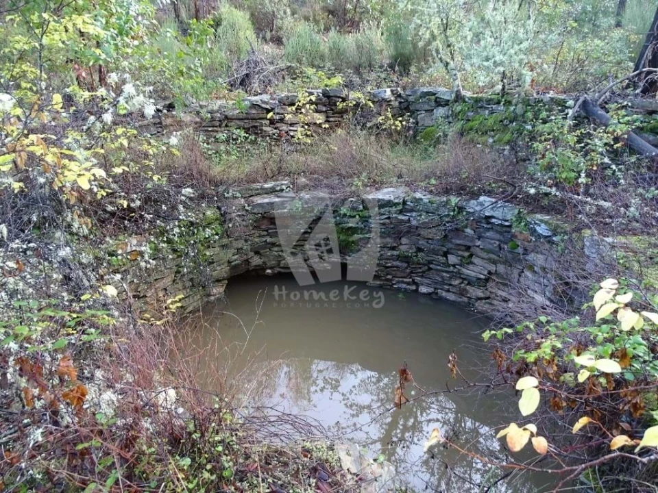 Terreno Agricola ou Rústico para Venda em Sarzedas Foto 4